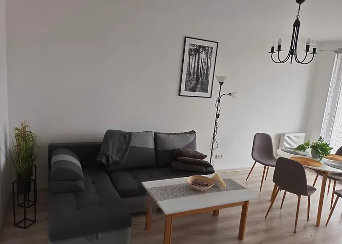 Apartament 41