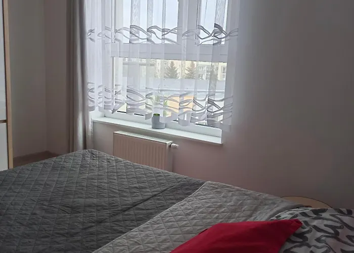 Apartament 41
